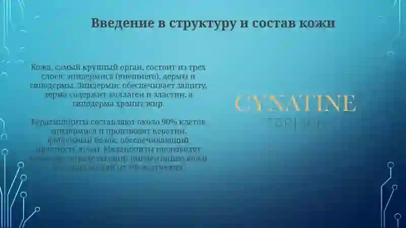 Строение и состав кожи 3