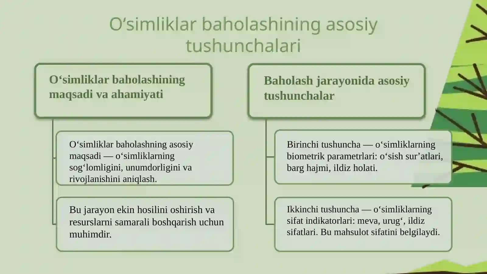 Oʻsimliklar evalutsiyasining asosiy bosqichlari 3