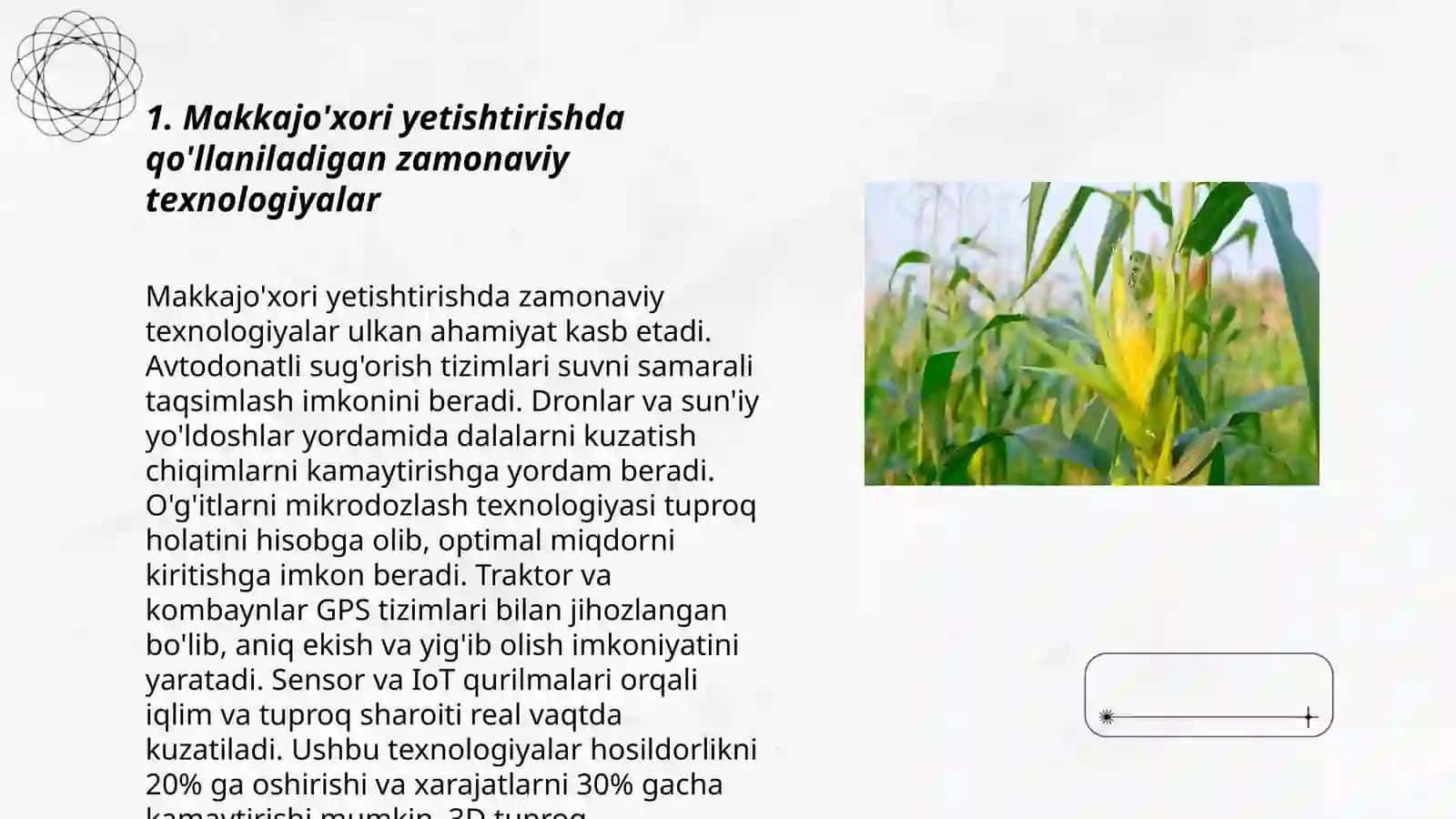 Makkajo'xori yetishtirish boʻyicha xorijiy mamlakatlar tajribasi 3