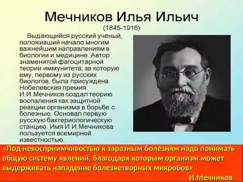 Иммунитет человека и его враги 3