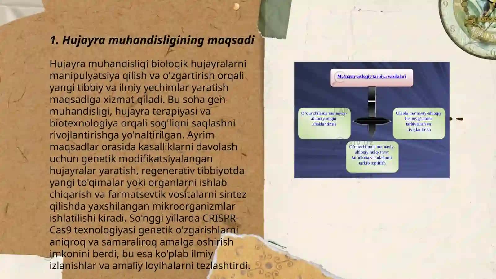 Hujayra muhandisliging mohiyati va vazifalari 3