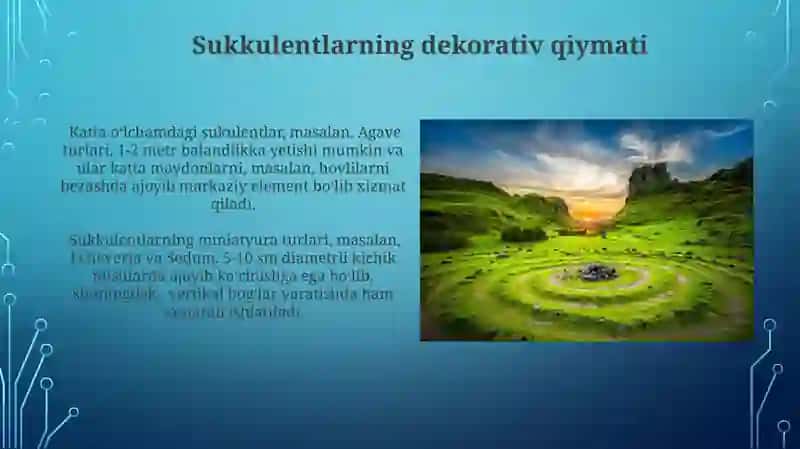 Sukkulentlarning tabiatdagi va inson hayotidagi ahamiyati 3