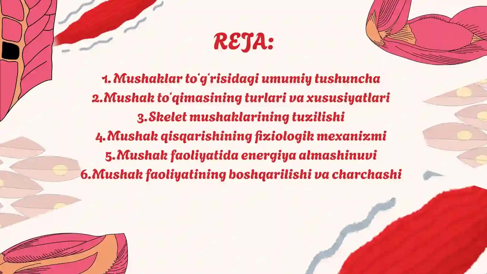 Innavatsion fan ta’lim vazirligi Ko’p tamoqli tibbiyot texnikumi hamshiralik ishi yo’nalishi 3