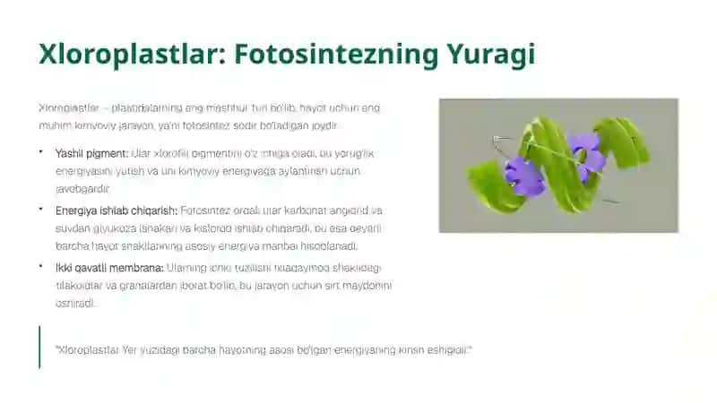 Plastidalarning Ahamiyati: Hayotni Yaratuvchi Kuch 3