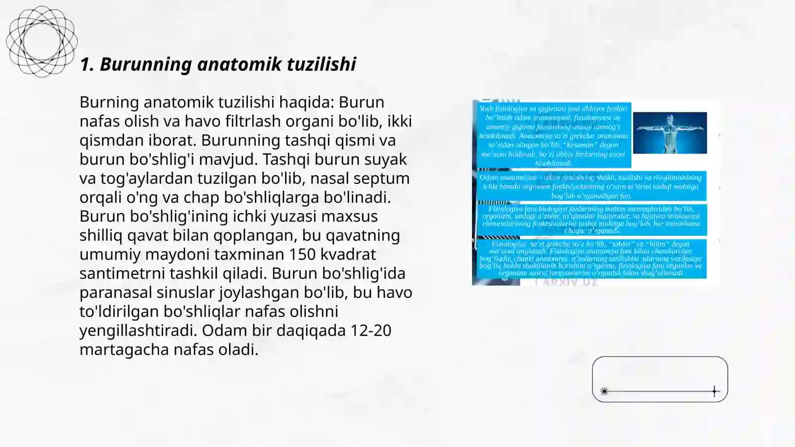 Burun, halqum va hiqildoqning anotomo-fiziologik xususiyatlari 3