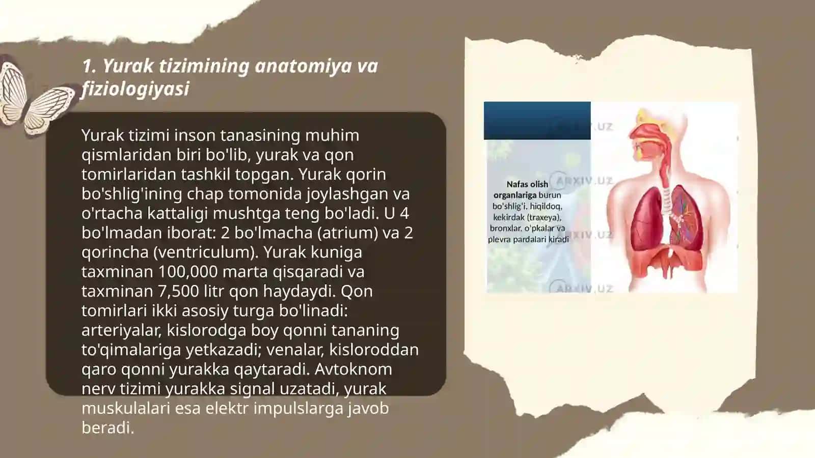 Yurak tizimining yoshga oid fiziologiyasi va gigenasi 3