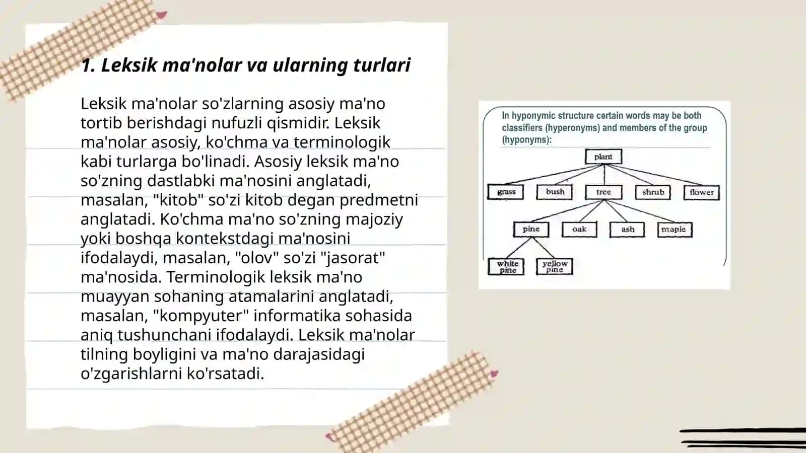 Toshpo'lotova Go'zal Olimovna 3