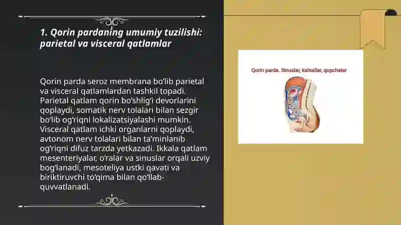 Qorin pardaning tuzilishi, topografiyasi va funksionalklinik anatomiyasi 3