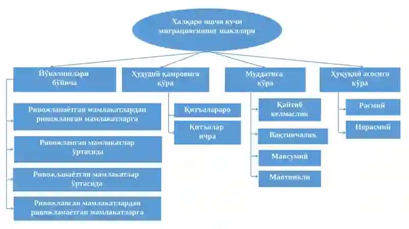 Халқаро ишчи кучи миграцияси сабаблари ва асосий тушунчалари 3