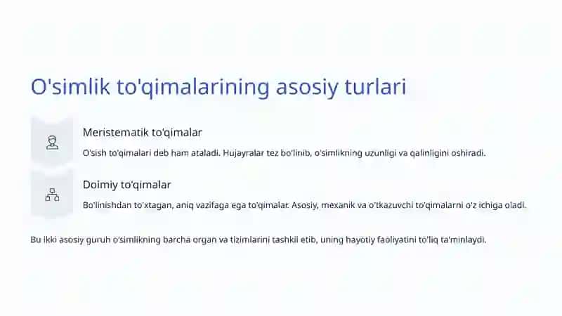O'simlik To'qimalari: Hayotning Asosiy Tuzilmalari 3