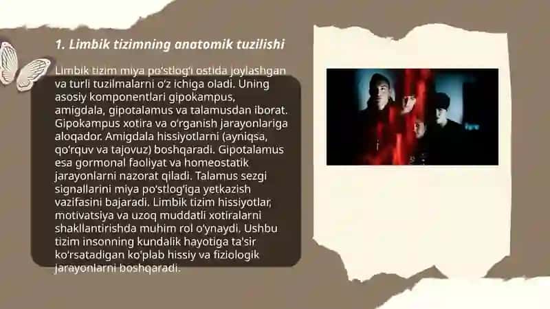 Limbik tizimning ahamiyati 3
