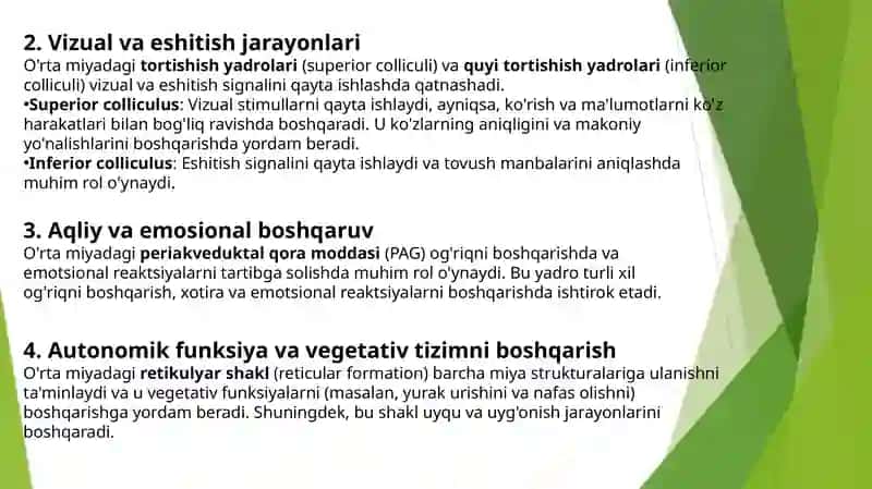 Oʻrtamiya— boshmiyaningoraliqmiyabilanVaroliykoʻprigioʻrta 3