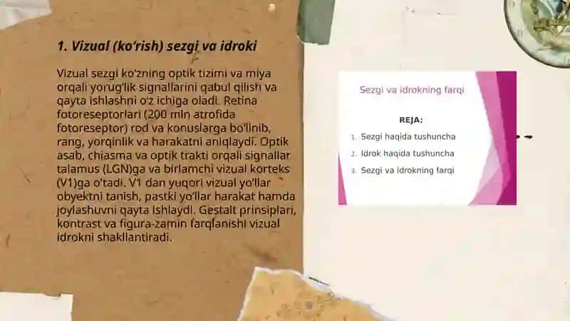 Sezgi va idrok 3