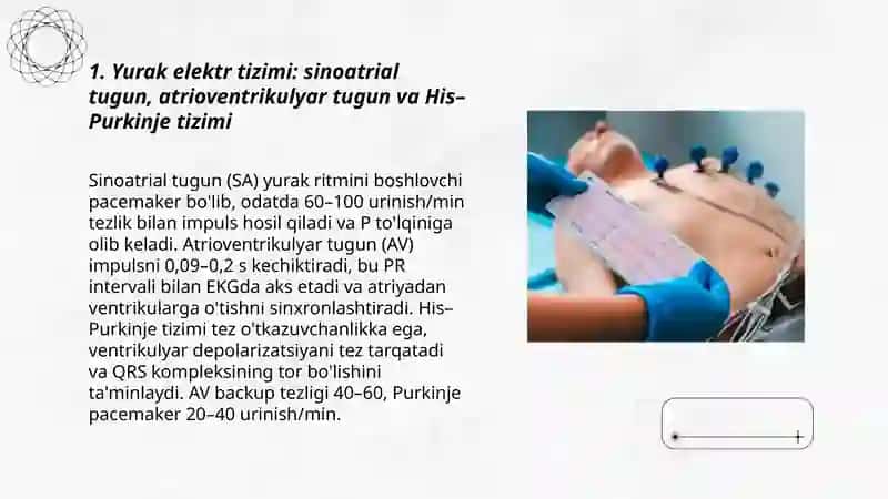 EKG tekshiruvining fiziologik asoslari 3