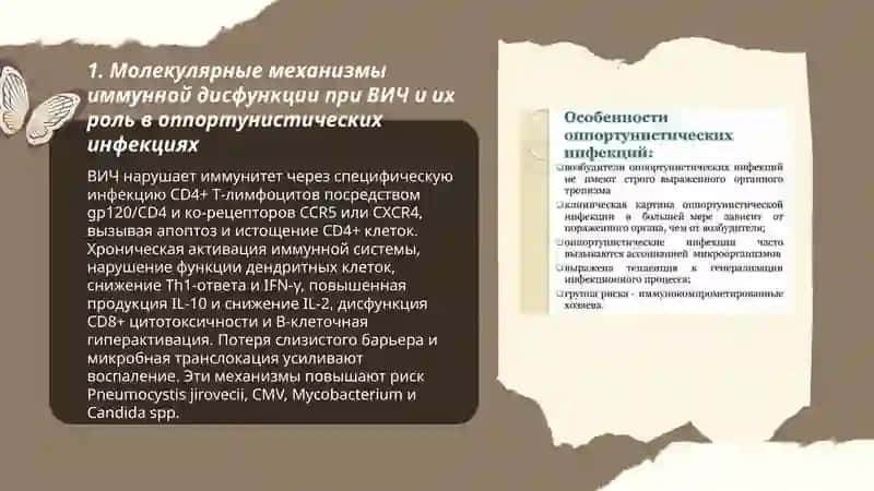 Молекулярный механизм оппортунистических инфекций при иммунодефицитах 3