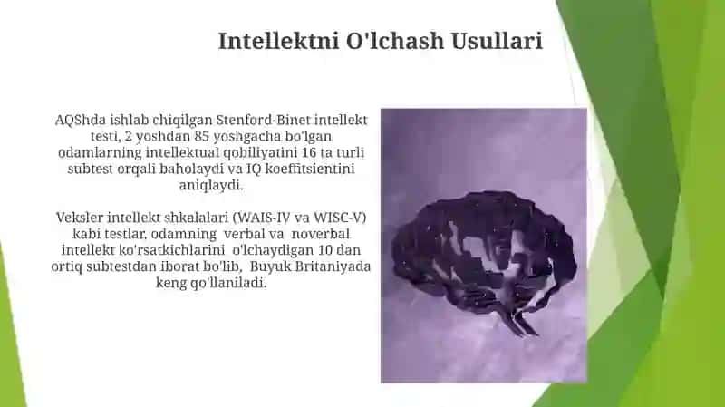 Intellektni O'lchash Usullari 3