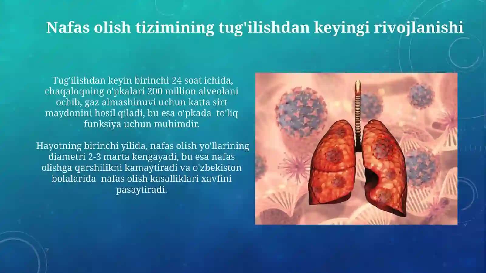 Nafas olish organlari taraqqiyoti 3