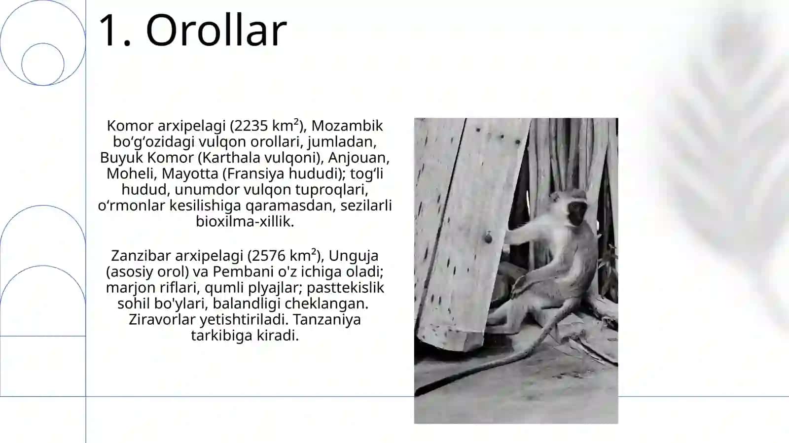 AFRIKA MATERIGINI TABIIY GEOGRAFIK RAYONLASHTIRISH 3