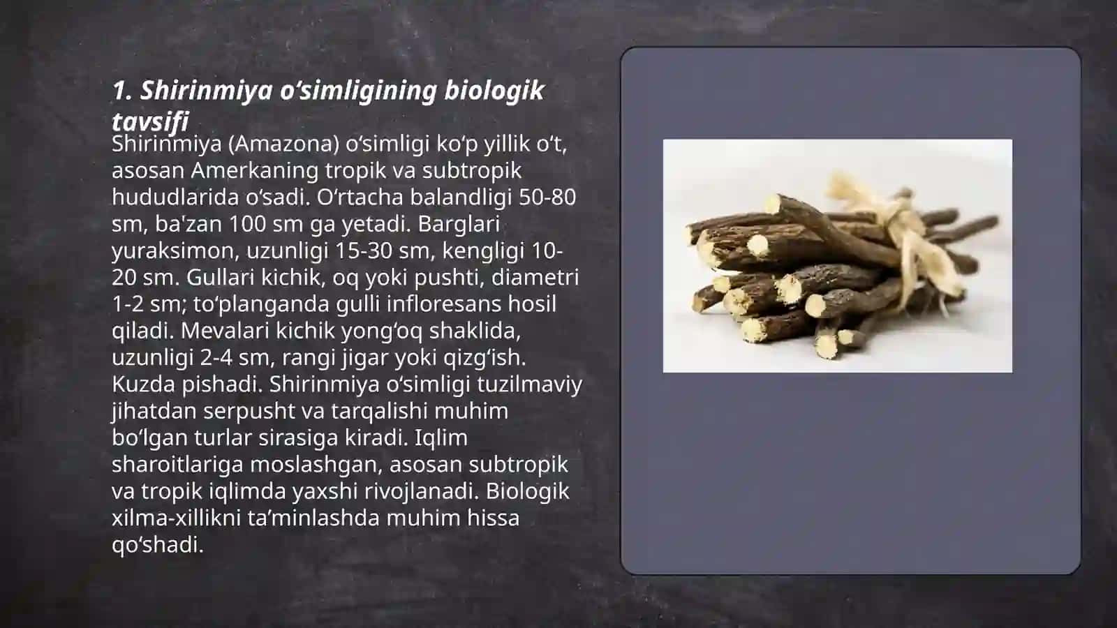 Shirinmiya o'simligi 3