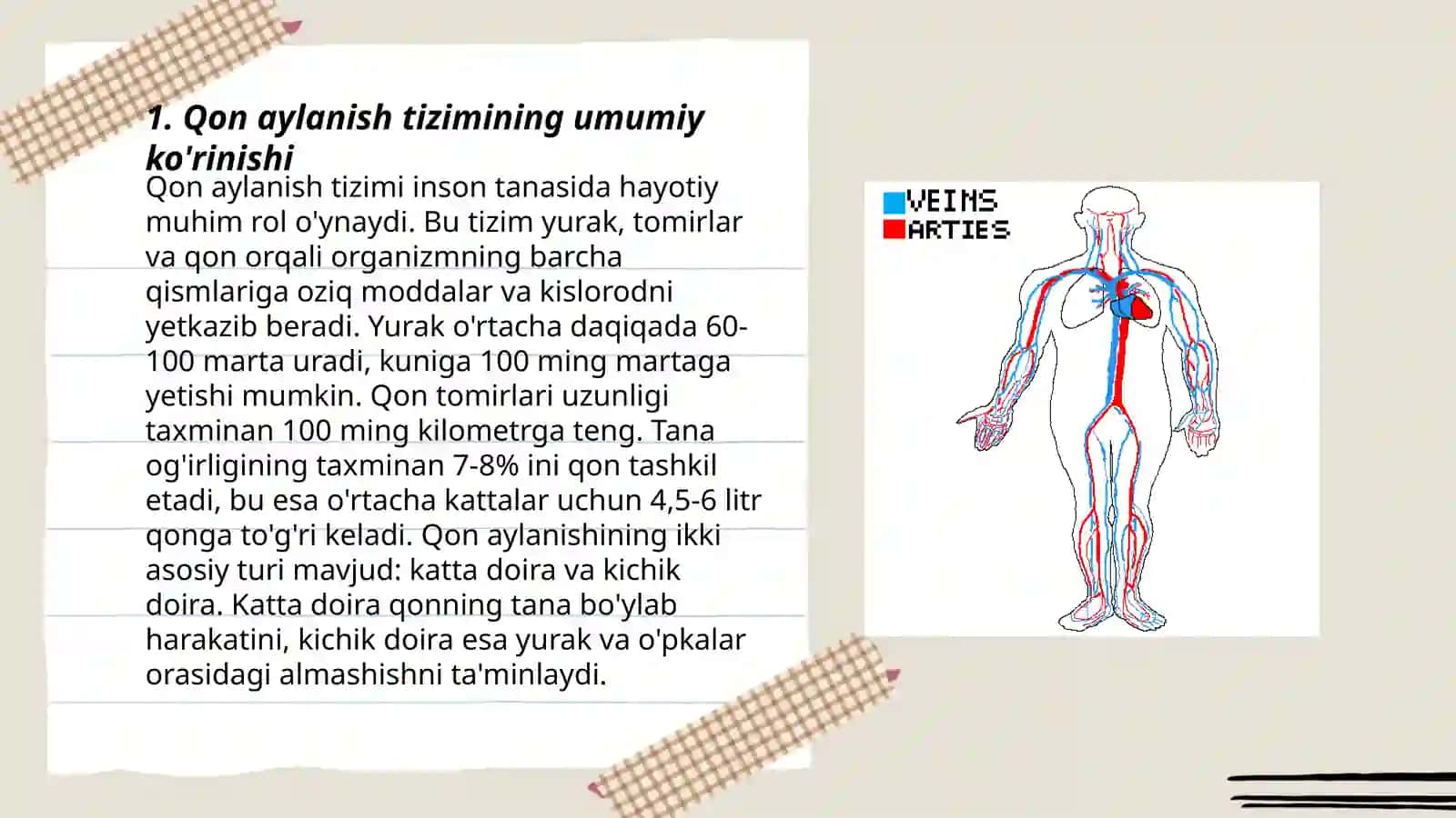 Qon aylanish sistemasining mexanik va elektrik modellari 3