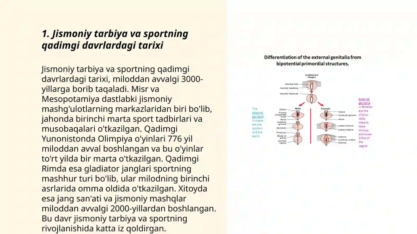 Jismoniy tarbiya nazariyasi va uslubiyati fanining rivojlanish tarixi 3