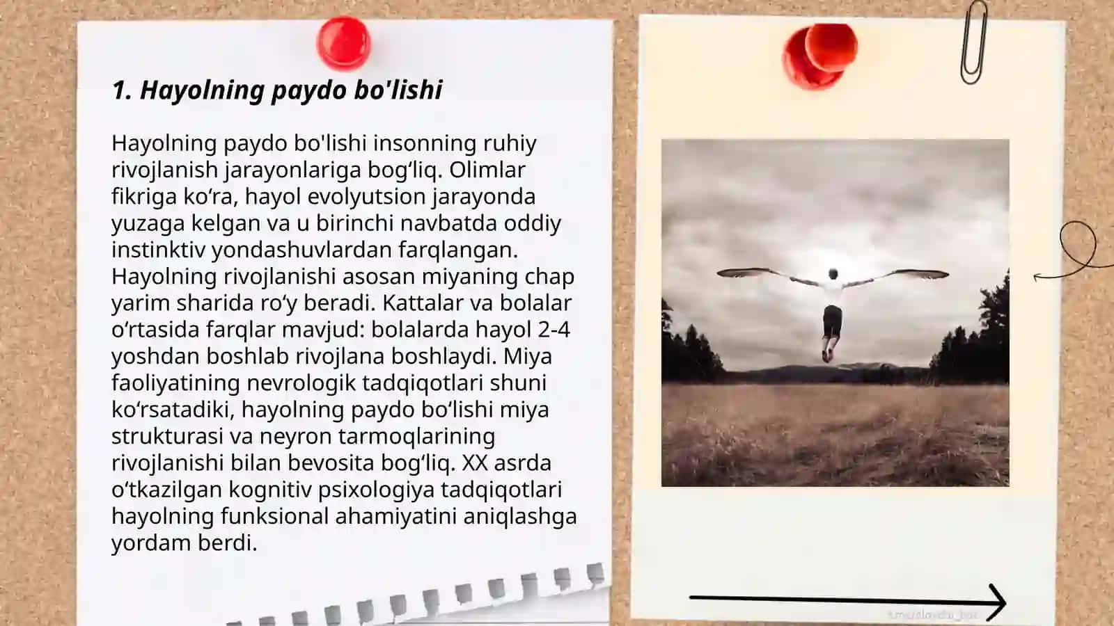 Hayol 3