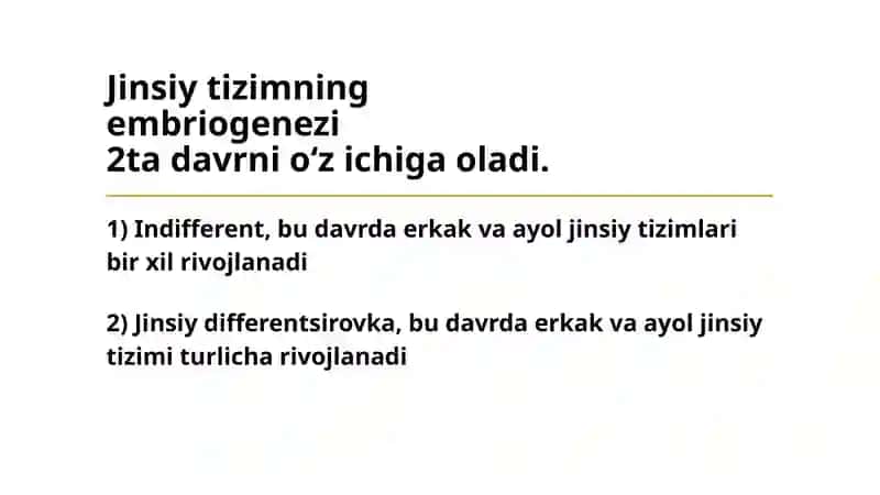 Gistologiya: Jinsiy tizimning embriogenezi 3