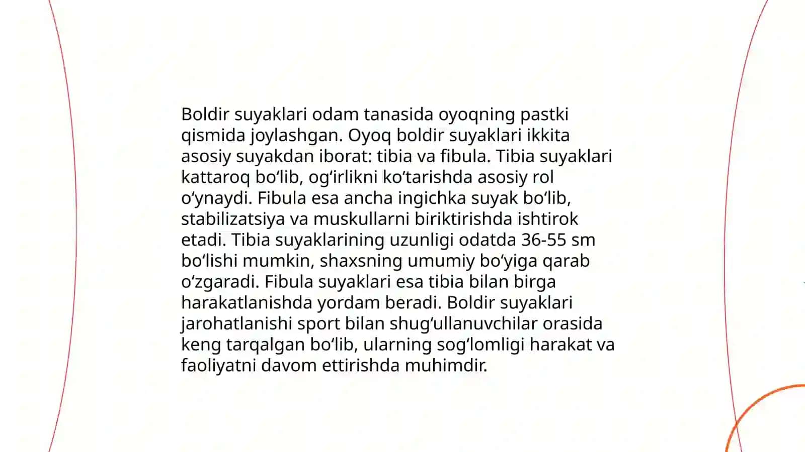 Boldirning va oyoq panjasi anatomiyasi 3