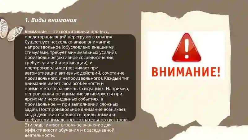 Внимание 3