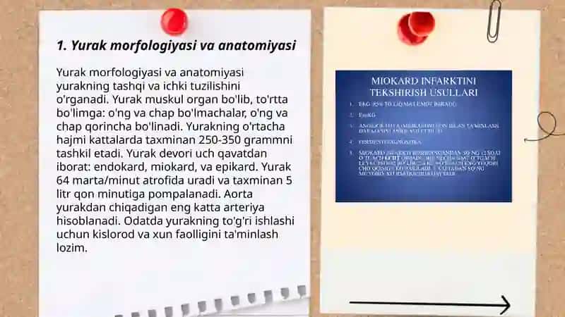 Yurak foaliyatini tekshirish usullari 3