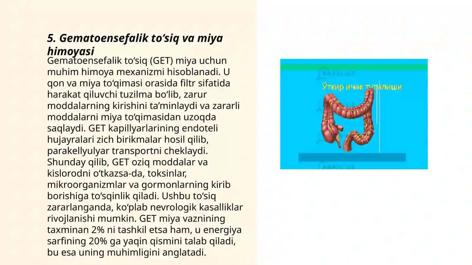 Hazmlanish jarayoning endokrin boshqariluvi meda ichak nayining endokrin hujayralari 3