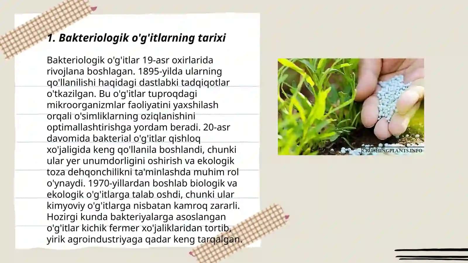 Bakteriologik o'g'itlar va ularning qo'llanilishi 3