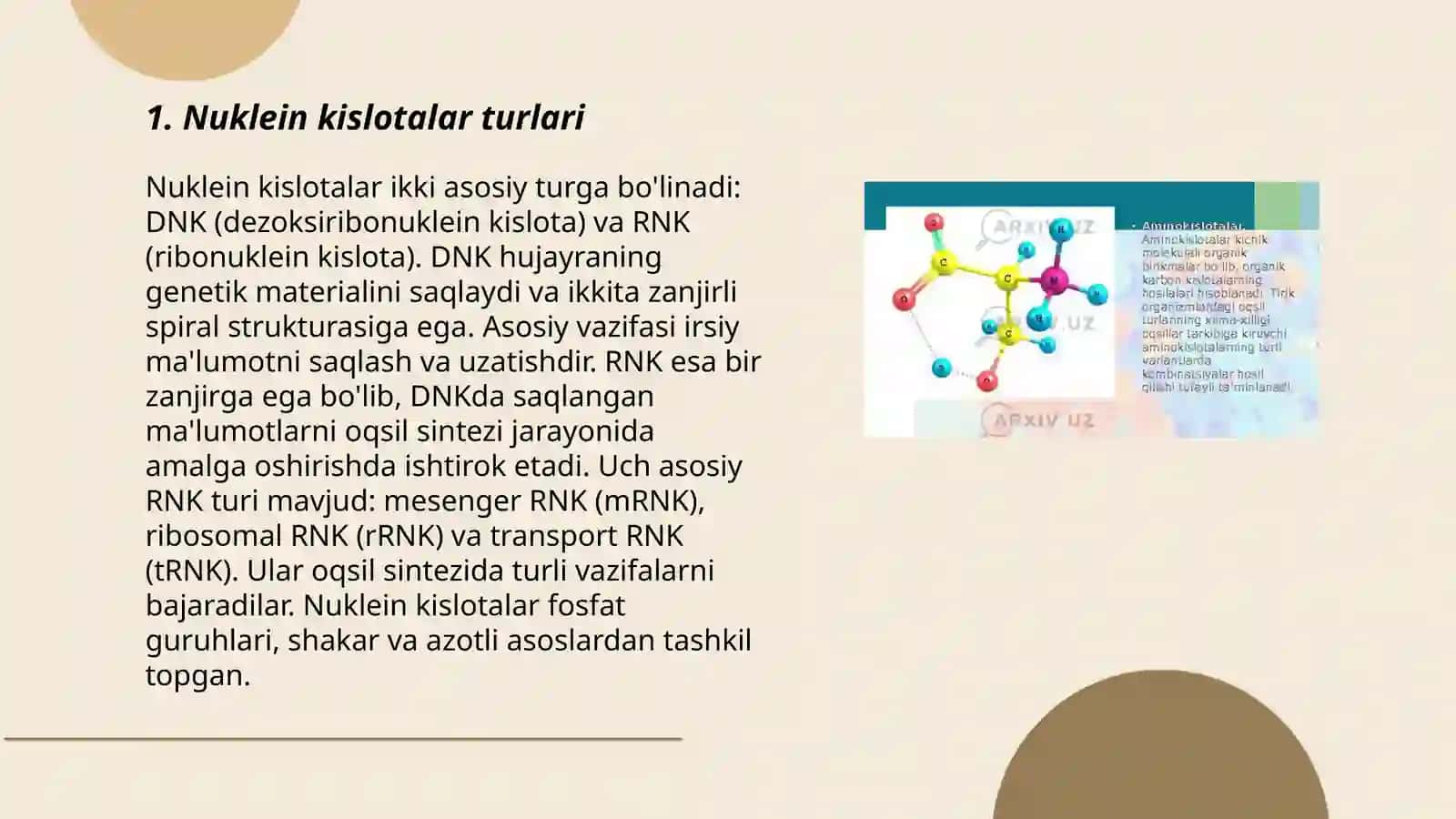 Nuklein kislotalar 3