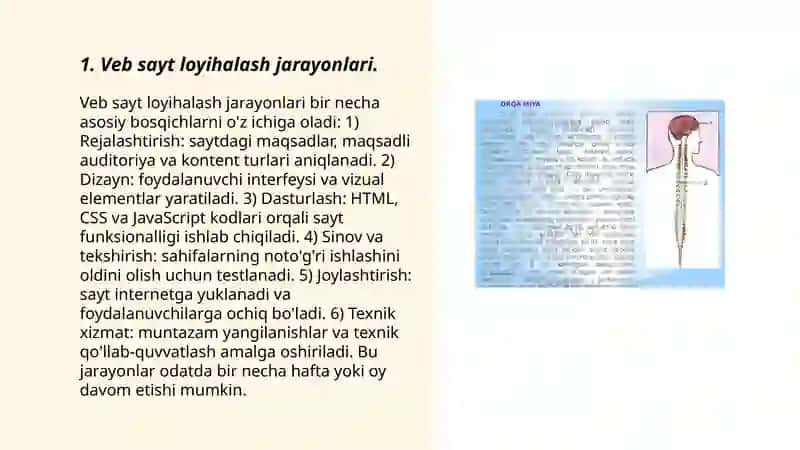 Veb sahifaning tuzilishi va yaratish imkoniyatlari,asosiy tushunchalari 3