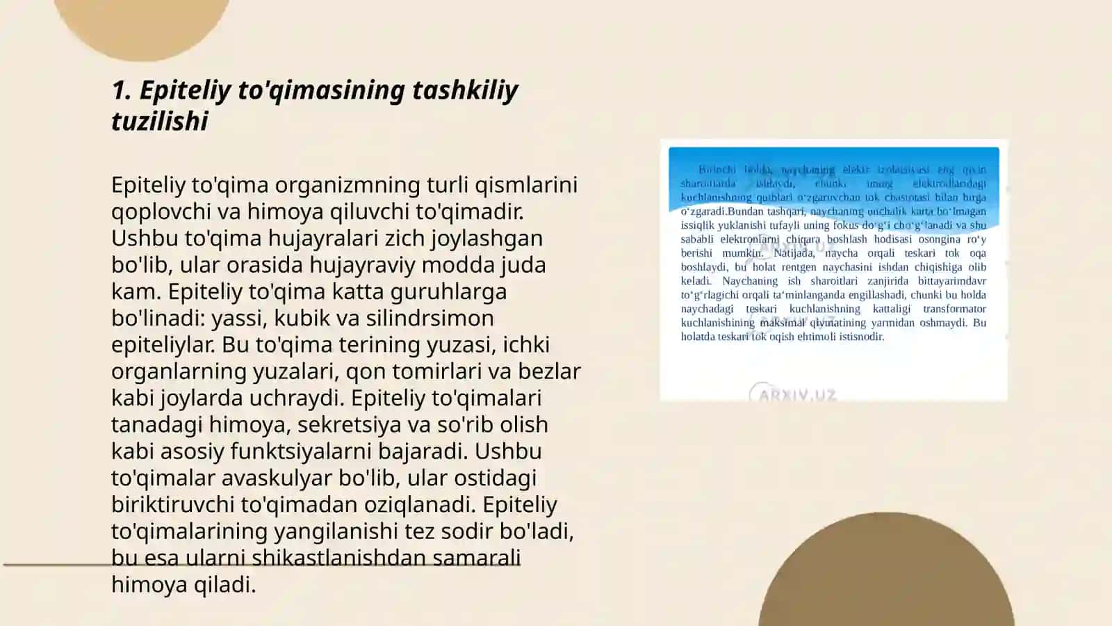 Epiteliy tòqimasining umumiy xarakteristikasi va klassifikatsiyasi 3