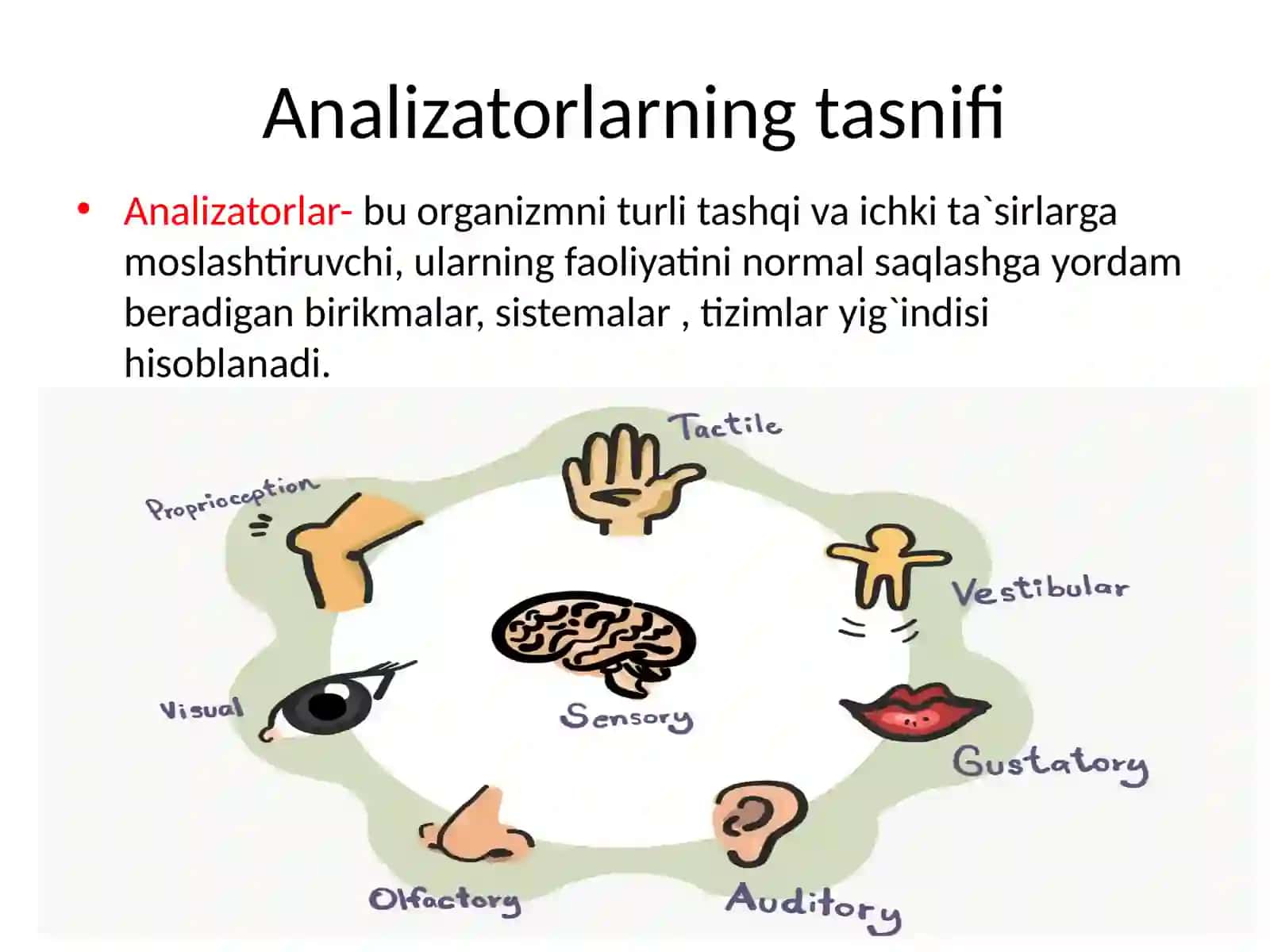 Analizatorlar fiziologiyasi. Sensor retsepsiya. Teri analizatorining lokalizatsiyasini aniqlash 3