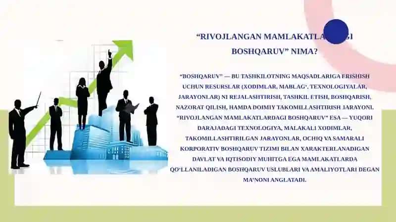 Rivojlangan mamlakatlarning biznesni boshqarish tajribasi 3