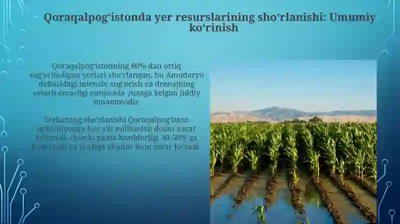 Qoraqalpogʻistonning yer resurslarining sho‘rlanishi va ularning oldini olish yollari 3