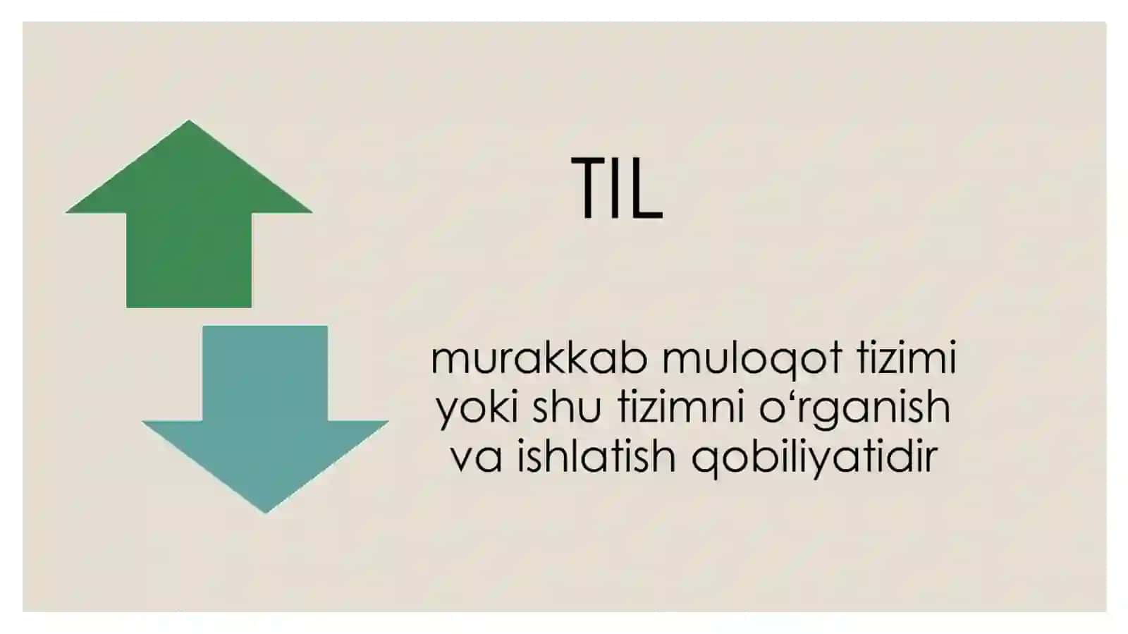 Til va tafakkur munosabati 3