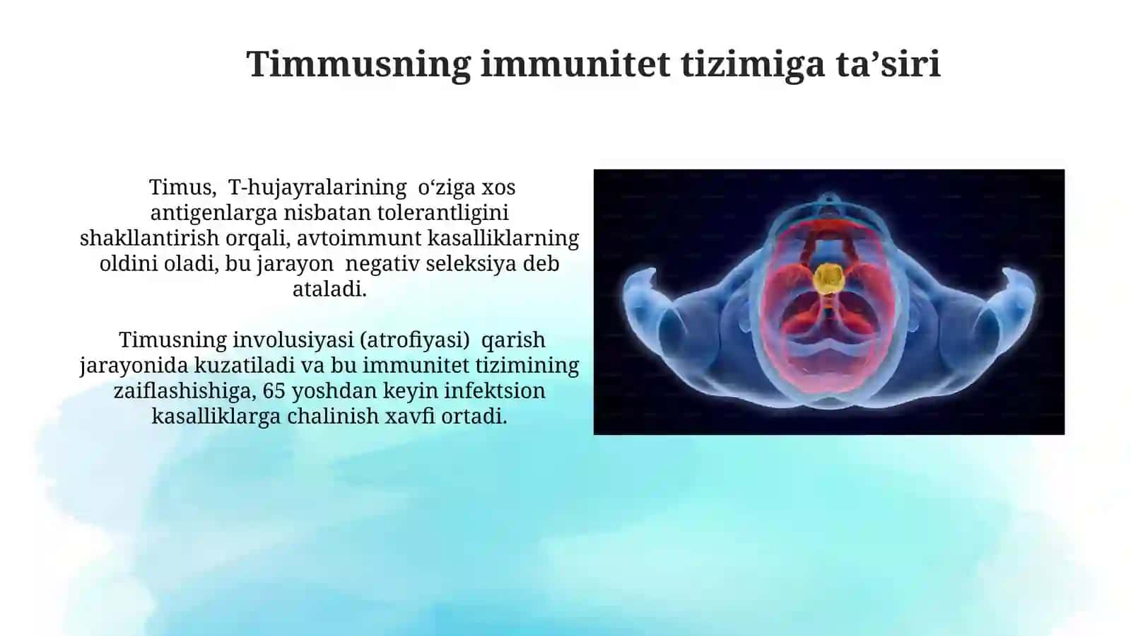 Timusning embriologik rivojlanishi va immunologik roli 3