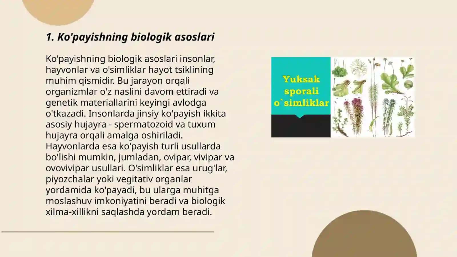 Sporali yuksak oʻsimliklar koʻpayish siklini tahlil qilish 3