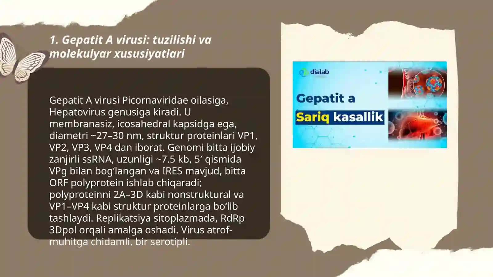 Gepatit A B C D E F TTV qo'zg'atuvchisi 3