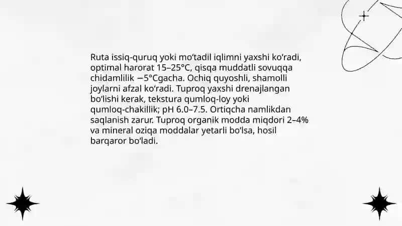 Xushbo‘y ruta (ruta graveolens L)ni yetishtirish texnologiyasi 3