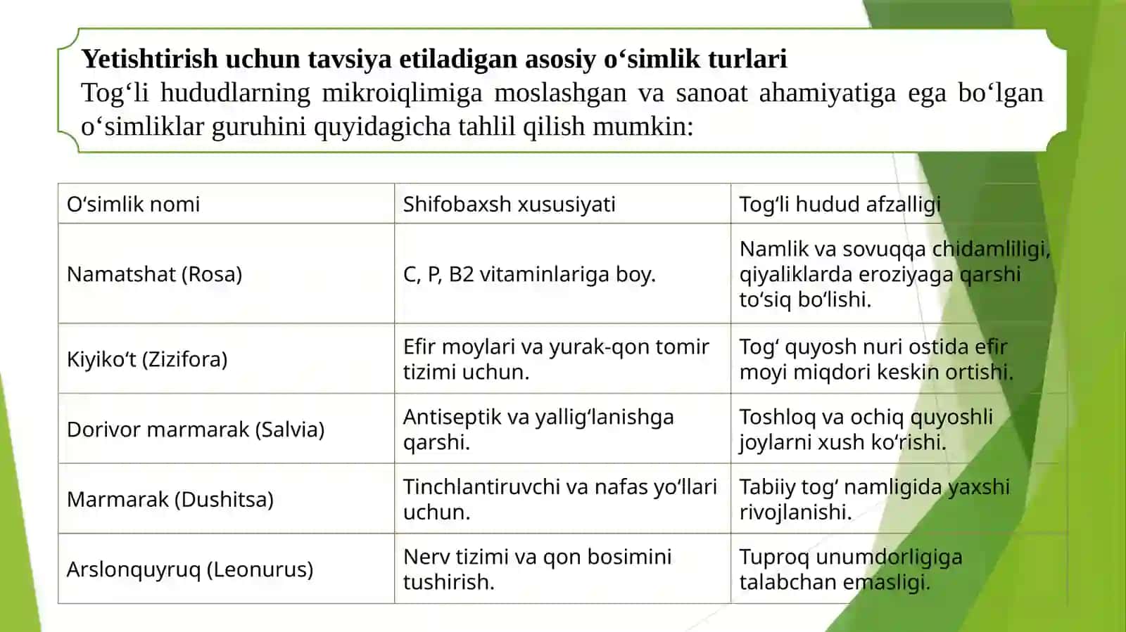 Togʻli va togʻ oldi tumanlarida dorivor oʻsimliklarni yetishtirish texnologiyasi 3