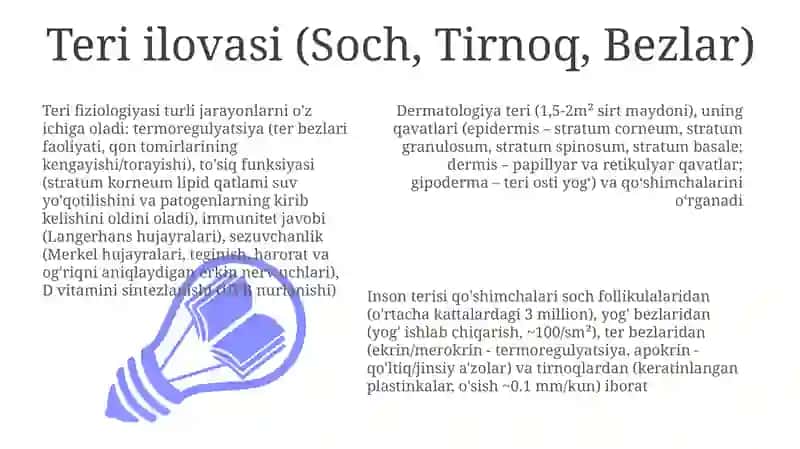 Odam terisining tuzilishi va funksiyalarini oʻrganish 3