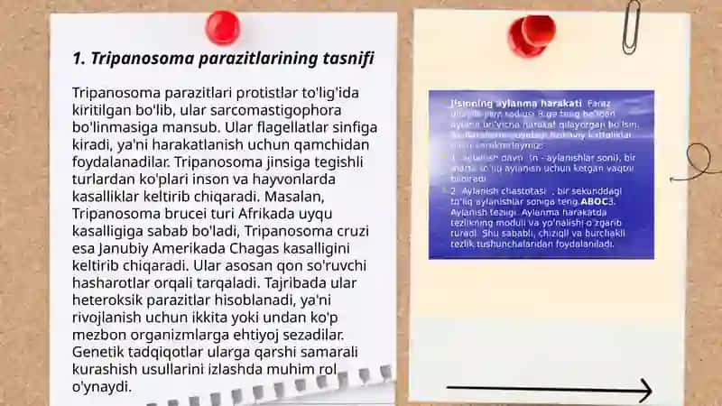 Tripanosomalar avlodi. (Tripanosomozkasalligini qo’zg’ovchilari) 3