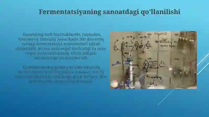 Fermentatsiya jarayoni va uning mikrobiologik asoslarini oʻrganish 3