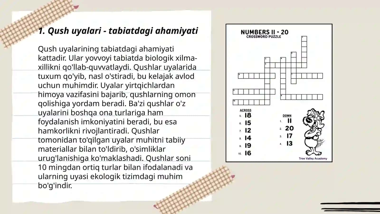 Qush uyasini yasash bolalar uchun 3