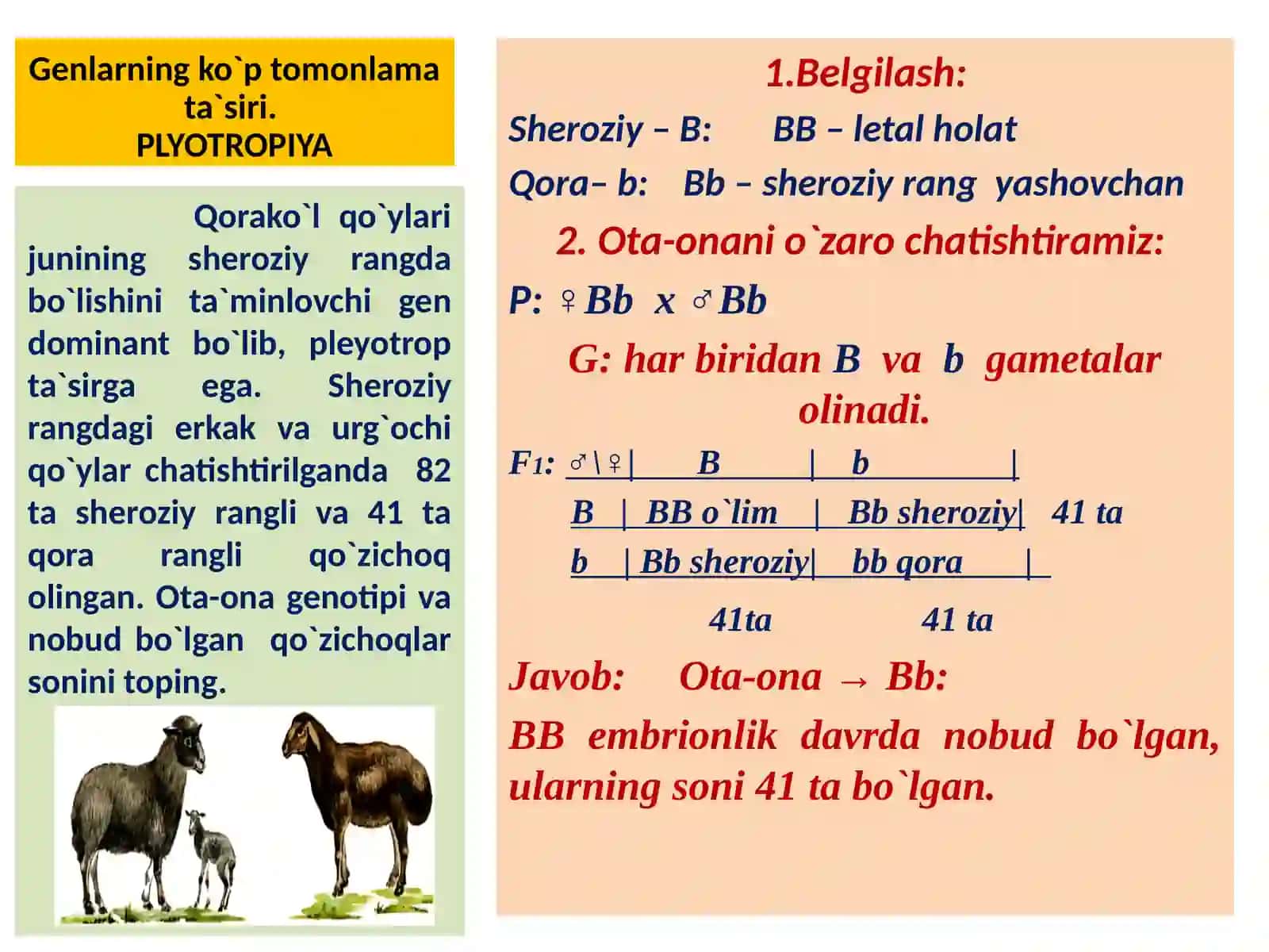 NOALLEL GENLARNING PLEYOTROP TA`SIRI 3