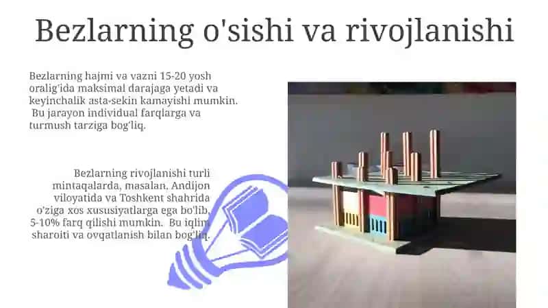 Bezlarining tuzilishi va rivojlanishi 3